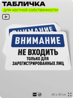 Табличка для частной территории "Внимание, не входить", на дом, для участка, организаций и частных территорий, предупреждающая, 40х30 см, Silver Plane x Айдентика Технолоджи