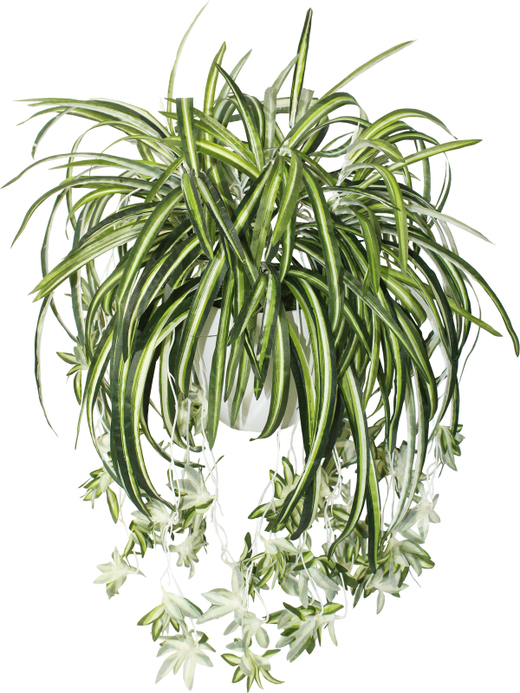 Искусственное растение Хлорофитум большой 45см в кашпо