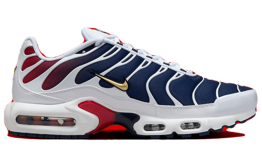 Nike Air Max Plus PSG