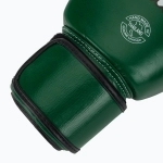 Боксёрские перчатки Fairtex Real Leather Boxing green