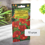 ЭШШОЛЬЦИЯ Клюквенный морс Гавриш Ц (10шт)