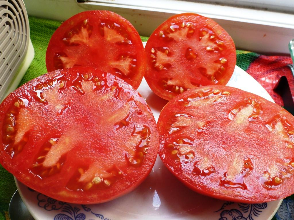 Помидоры Bonny Best — Бонни Бест