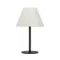 Декоративная настольная лампа Arte Lamp ALEA A5068LT-1BK