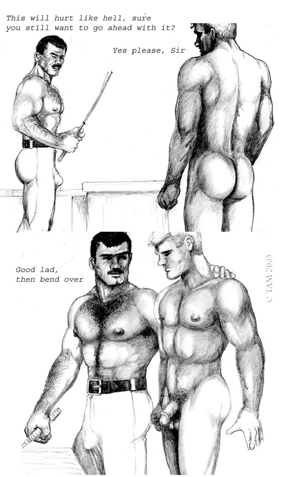 Tam - эротическое искусство художника Тэма. 18+