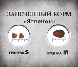 Гранулы