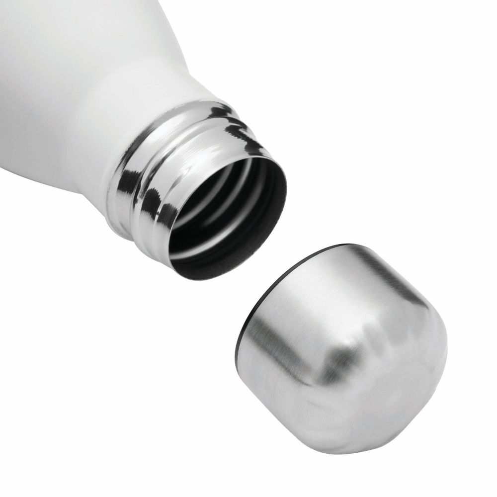 термобутылка PARKY