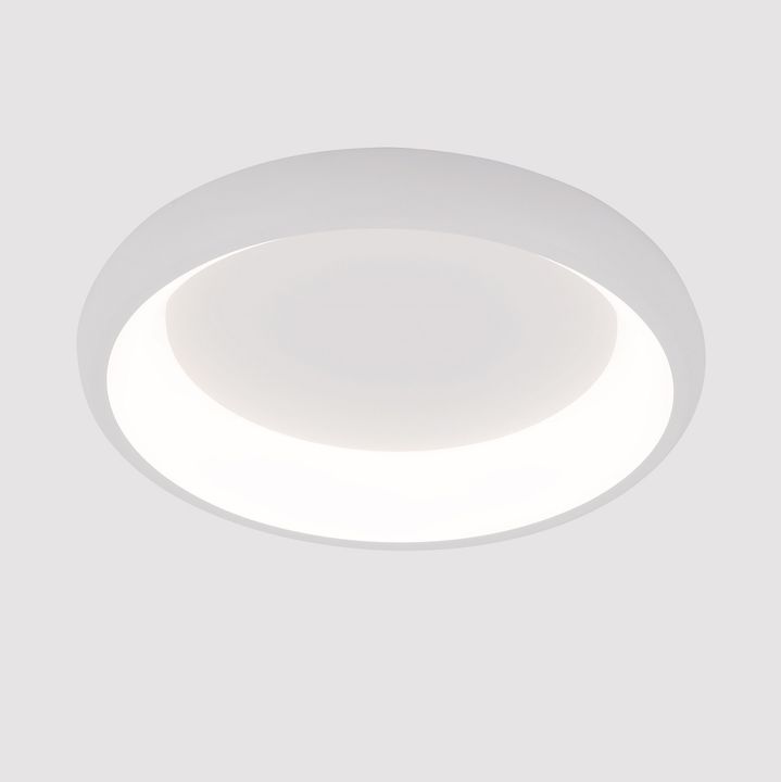 Потолочный светодиодный светильник Arte Lamp Menkib A2694PL-45WH