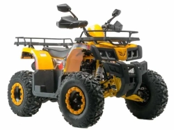 Квадроцикл Motoland 200 ALL ROAD X (баланс. вал)