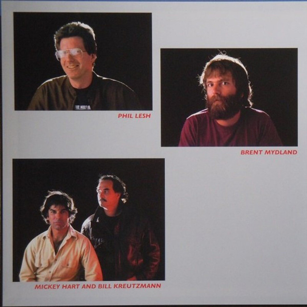Grateful Dead / In The Dark (LP)