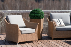 Кресло, коллекция Зальцбург