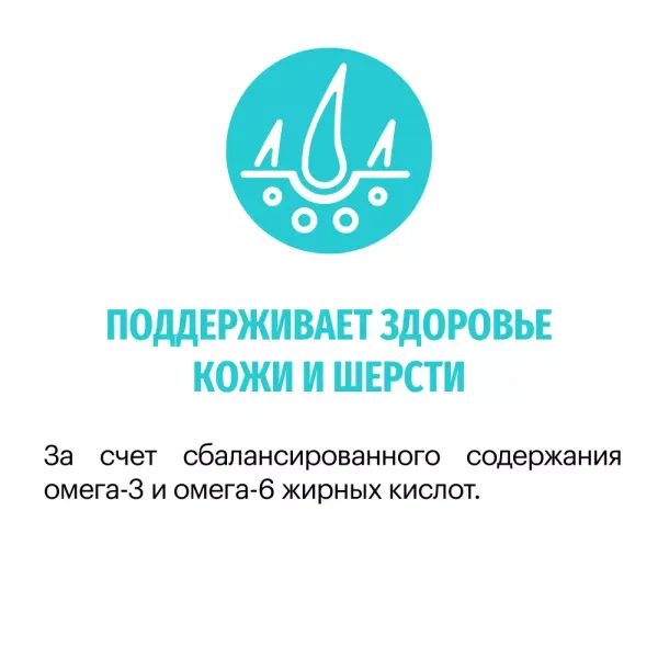 Сухой корм Karmy Hypoallergenic Medium & Maxi для взрослых собак средних и крупных пород, склонных к пищевой аллергии, с ягненком