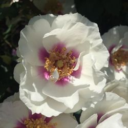 Айз Фо Ю (Eyes For You)