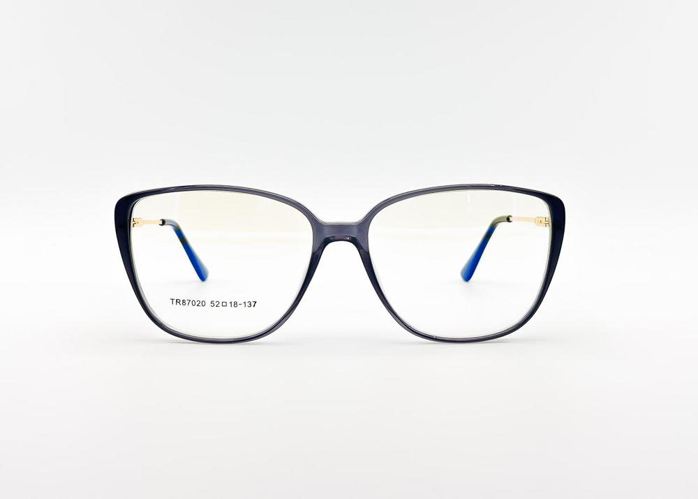 Изг. оправы Merck TR87020 C4