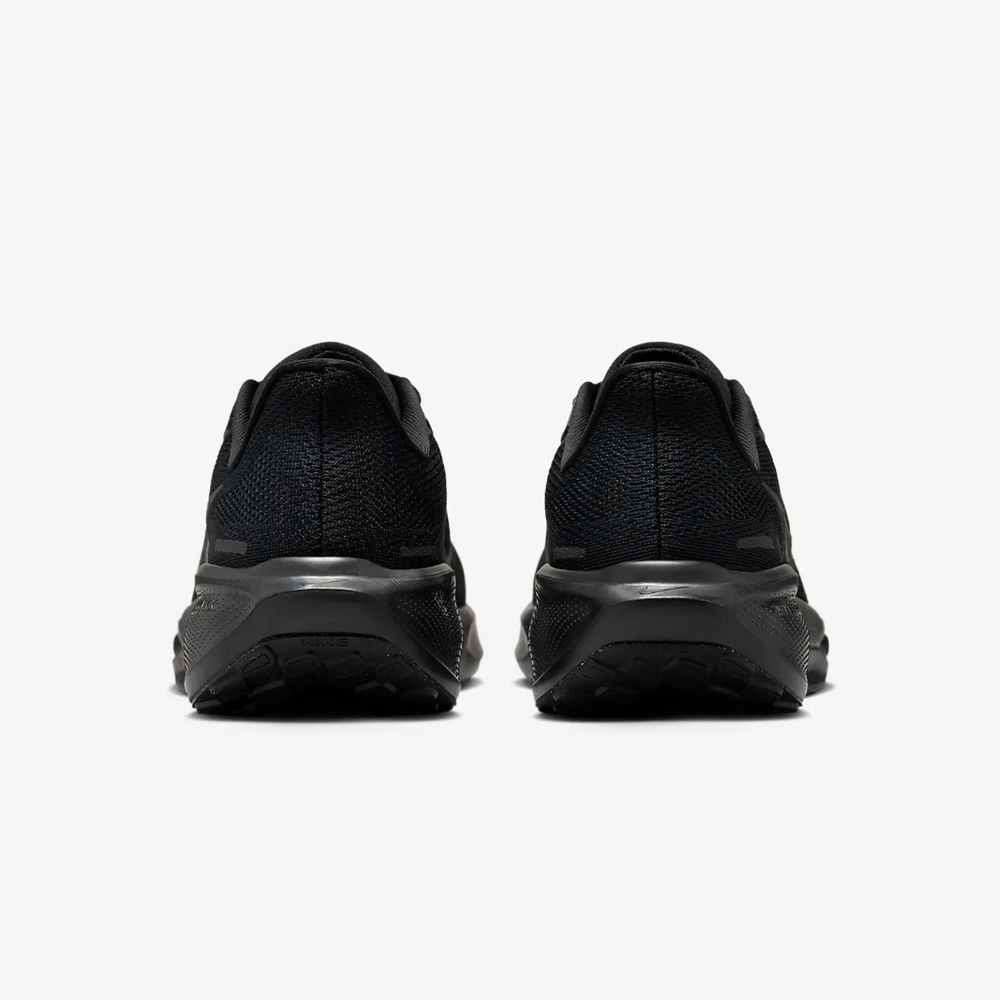 FD2722-001 Кроссовки беговые Nike Pegasus 41