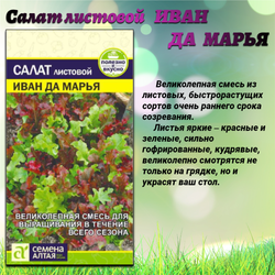 Набор семян салат и редис. Семена Алтая