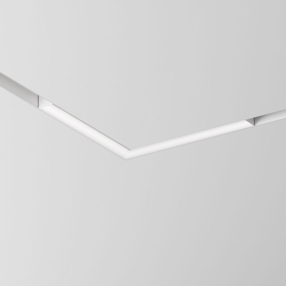 Трековый магнитный светильник Maytoni Basis TR078-2-24W4K-W