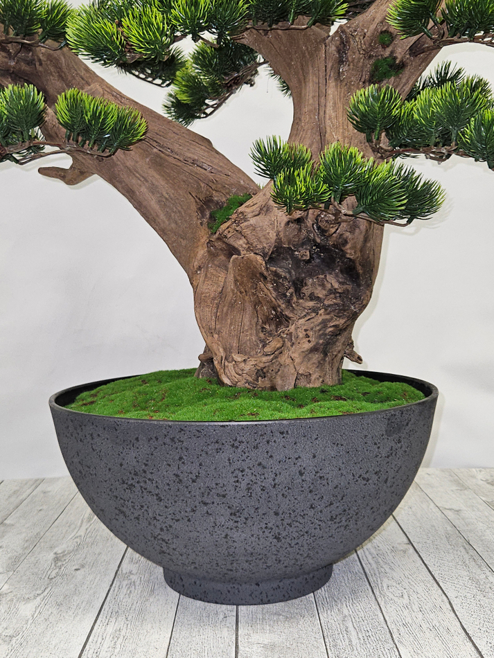 Бонсай Сосна 70см в кашпо лофт