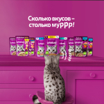 Желе с Лососем, 75г рыбная коллекция, влажный корм для кошек  Whiskas