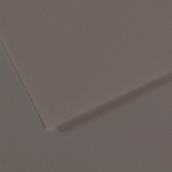 Бумага для пастели Mi-Teintes 160 г/м², A4 21х29.7 см, 25 л, №185 Графитовый, Canson, C31032S046