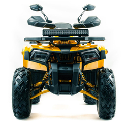 Квадроцикл MOTOLAND 200 Wild Track X Pro (Баланс. вал) (2021 Г.)