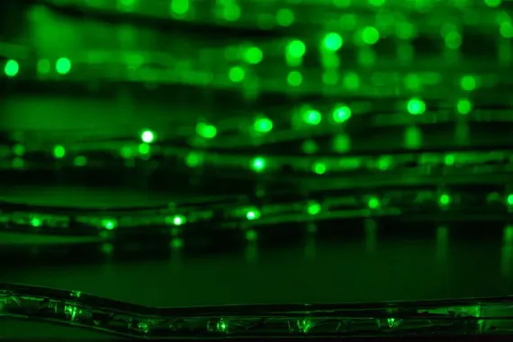 Дюралайт светодиодный 2-х проводной, диаметр 13 мм., 220В, зеленые LED лампы 36 шт на 1 м., бухта 100 м., статика, Teamprof (TPF-DL-2WH-100-240-G)