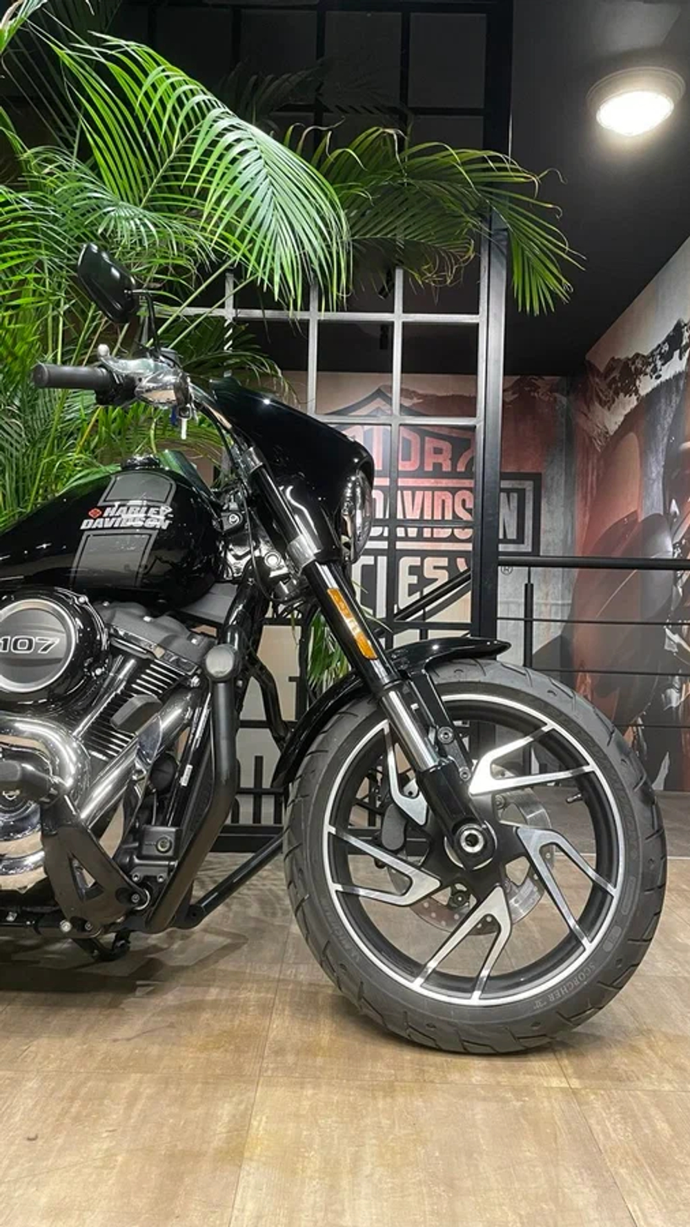 Harley-Davidson Sport Glide, 2022