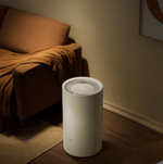 Осушитель воздуха Xiaomi Mijia Smart Dehumidifier 13L (DM-CS13BFA5A)