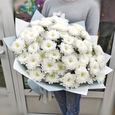Букет из 11 белых хризантем сорта "Baltica white"