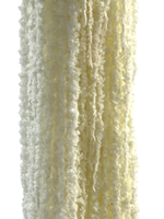 Амарант белый