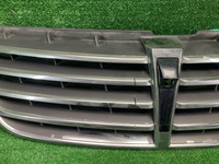 Решетка радиатора Hyundai Equus 2 (2013-2016)
