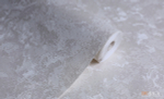 Du&Ka 1,06 м 29547-6 Likya