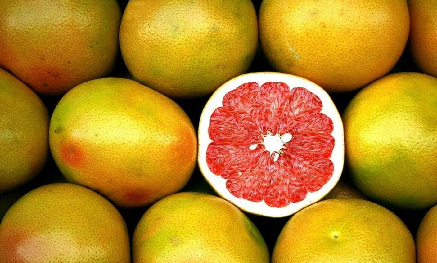 Грейпфрут сорта. Помело фрукт цитрусовые. Помело и грейпфрут. Помело фрукт красный.