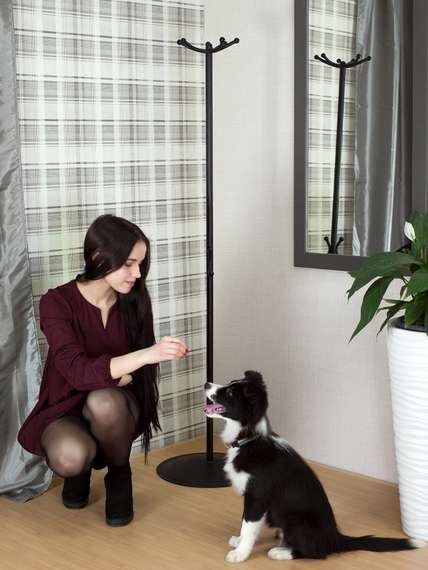 Вешалка напольная Пико 16 черный