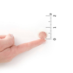 Garden of Life, Dr. Formulated Probiotics, органические жевательные таблетки для детей с пробиотиками и витаминами C и D, вкусный органический арбуз, 30 вкусных жевательных таблеток