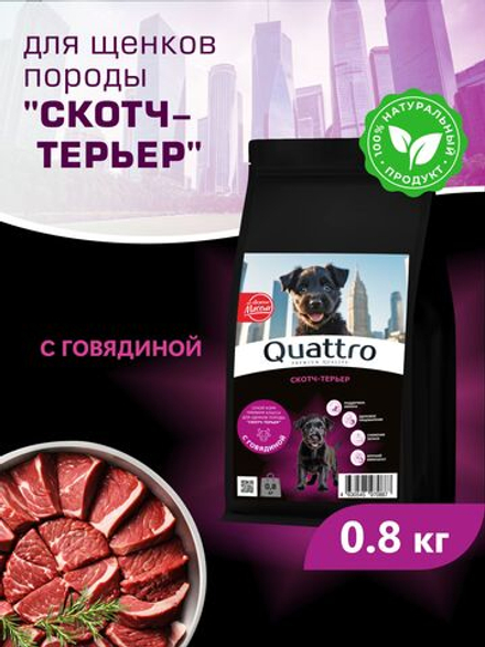 Корм сухой для щенков породы Скотч-терьер, с говядиной, 800 гр, QUATTRO