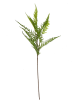 Папоротник  многорядник ветка 105 см