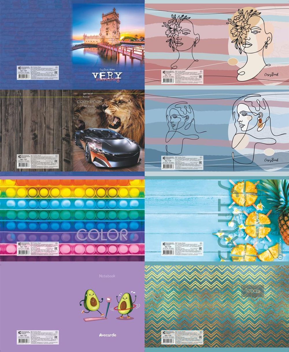 Тетрадь школьная А5 48л. клетка офсет №1 (обложка картон) в ассорт. (КПК)