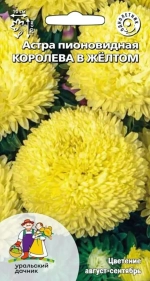 Семена Астра пионовидная Королева в жёлтом (УУ) Е/П