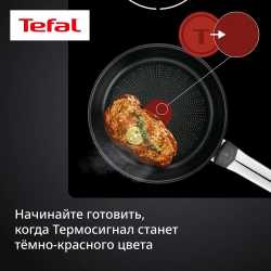 Сковорода Tefal Emotion+ Flavors 20 см E3270244