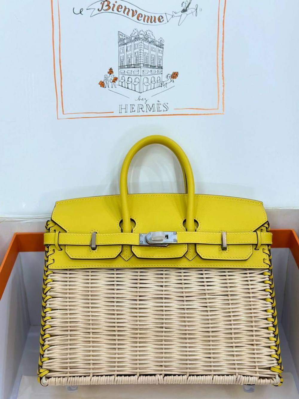 Сумка Hermes