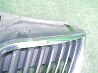 Решетка радиатора Skoda Rapid (2012-2020)