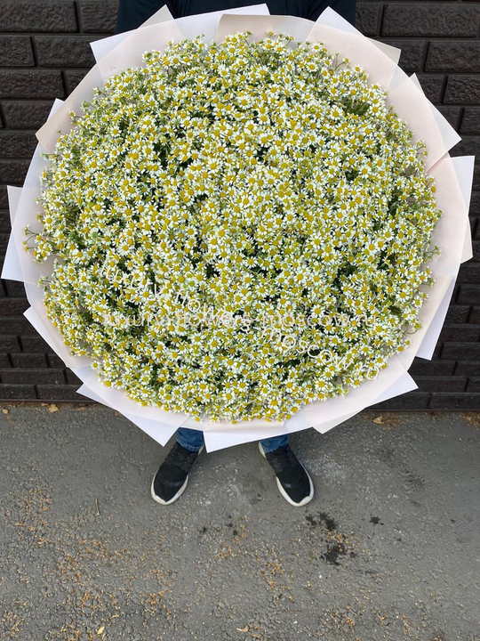 201 Ромашка букет