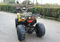 Электроквадроцикл Green Camel Атакама T320 (48V 1000W R8 Дифференциал)