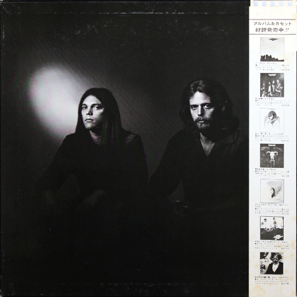 Eagles / The Long Run (LP)