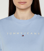 Футболка Tommy Jeans - голубой(DW0DW17836)