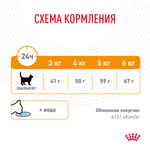 Сухой корм для кошек Royal Canin Hair & Skin Care (Роял Канин Хайбал энд скин кэа) для поддержания здоровья кожи и шерсти 400 г