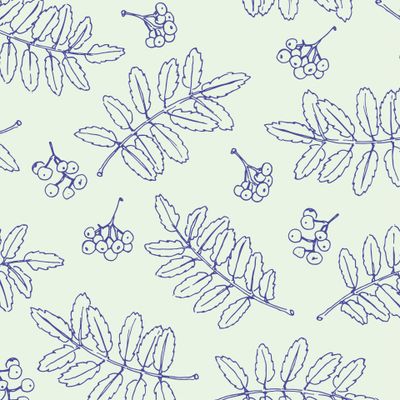 ряьина синий на бледно-зелёном