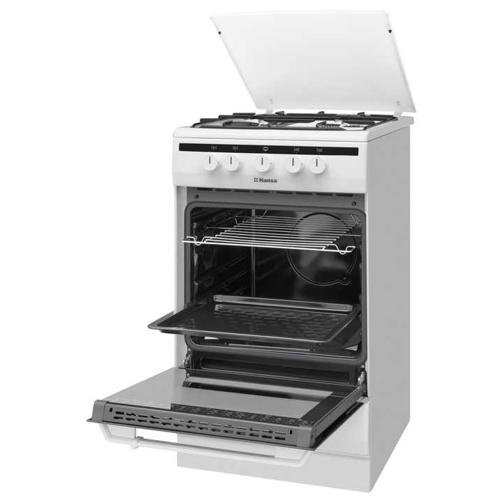 Газовая плита Hansa FCGW51003