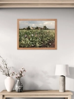 Картина на стену интерьерная на холсте 65*50 см