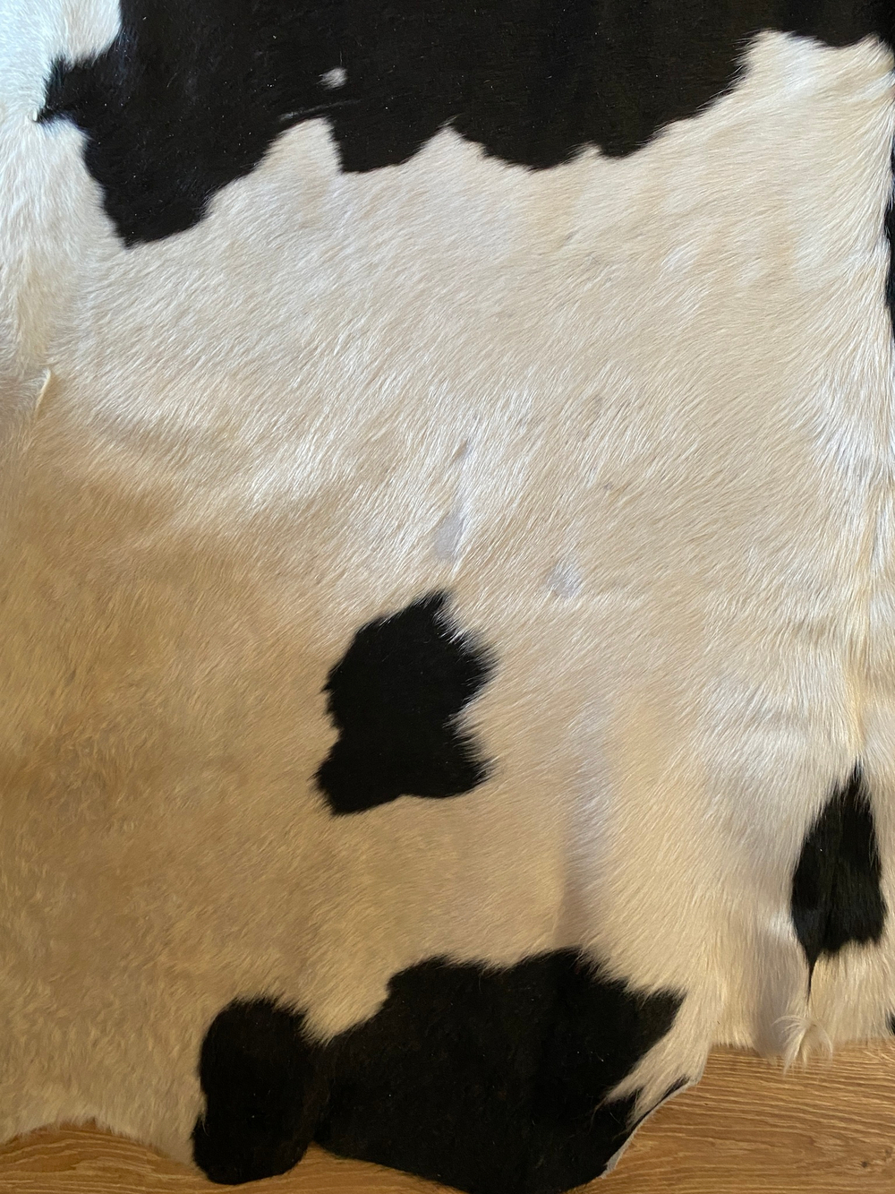 Коровья шкура на пол натуральная. 200 х 180 см